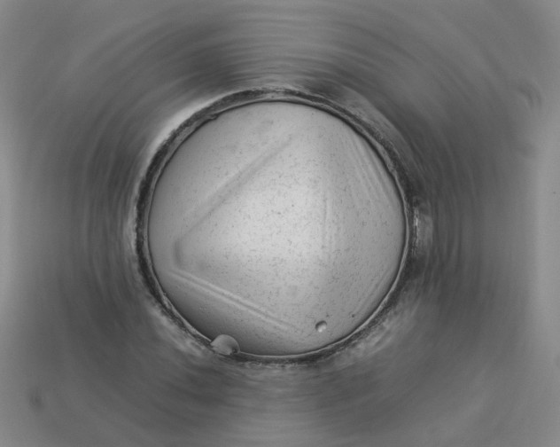 X0000113331020200910051142