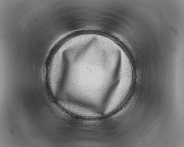X0000113331021200910051142