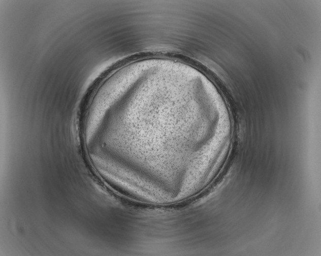 X0000113331022200910051142