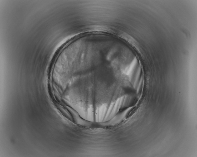 X0000113331024200910051142