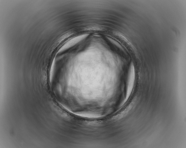 X0000113331025200910051142