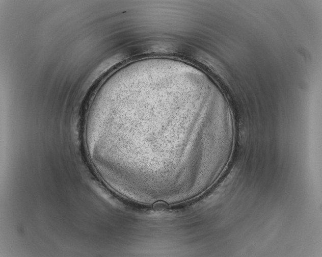 X0000113331026200910051142