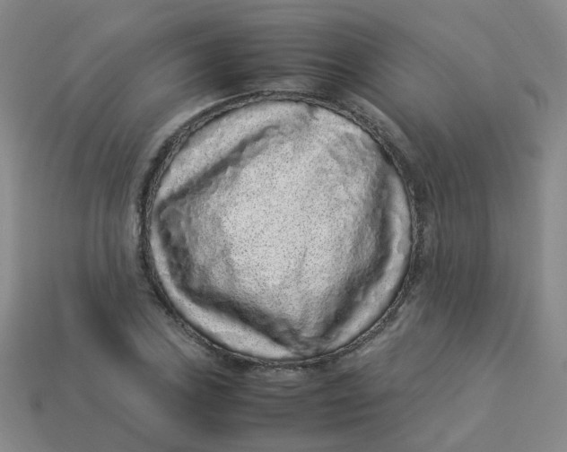 X0000113331027200910051142