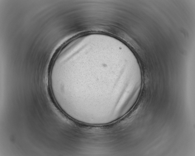 X0000113331028200910051142