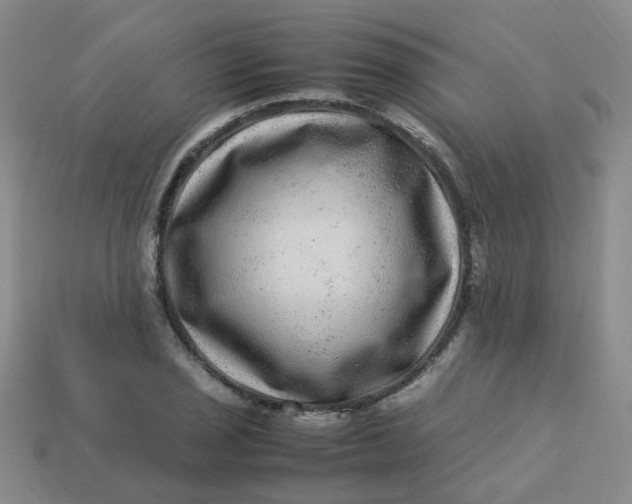 X0000113331029200910051142