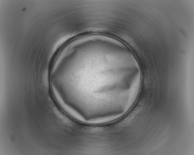 X0000113331030200910051142