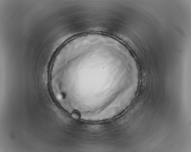 X0000113331031200910051142