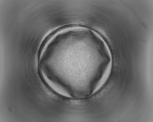 X0000113331032200910051142