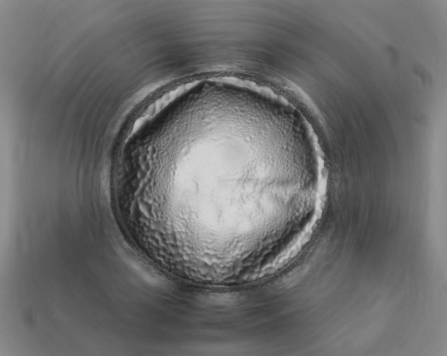 X0000113331035200910051142