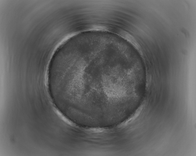 X0000113331037200910051142