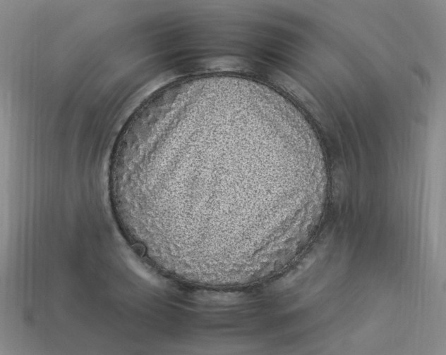 X0000113331039200910051142