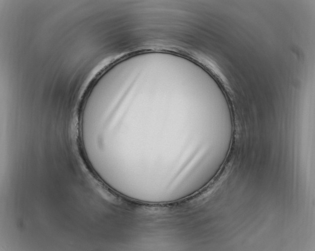 X0000113331040200910051142