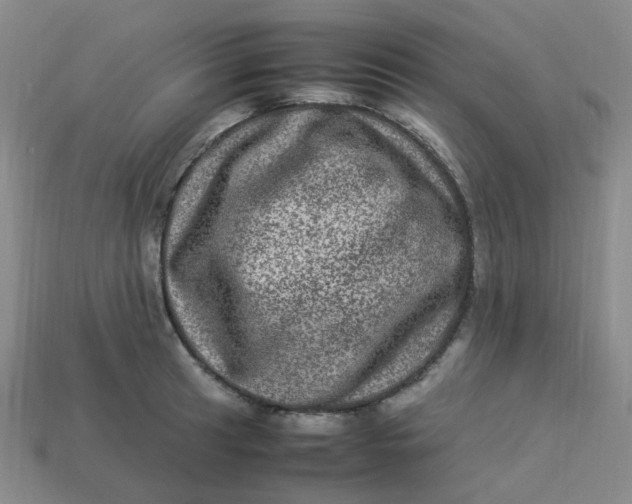 X0000113331041200910051142