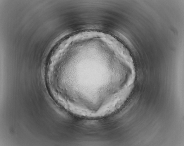 X0000113331043200910051142