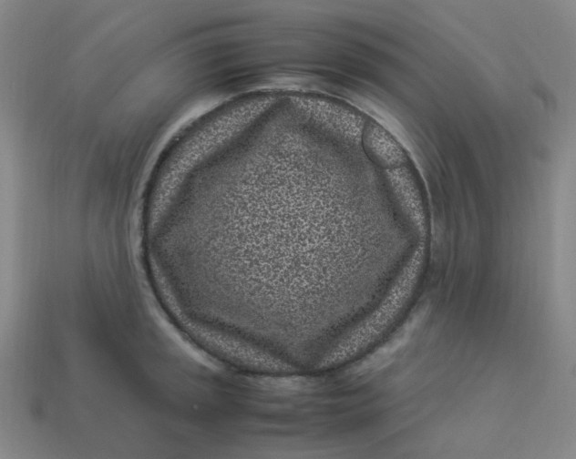 X0000113331045200910051142