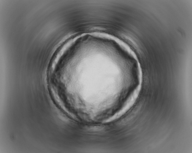 X0000113331047200910051142