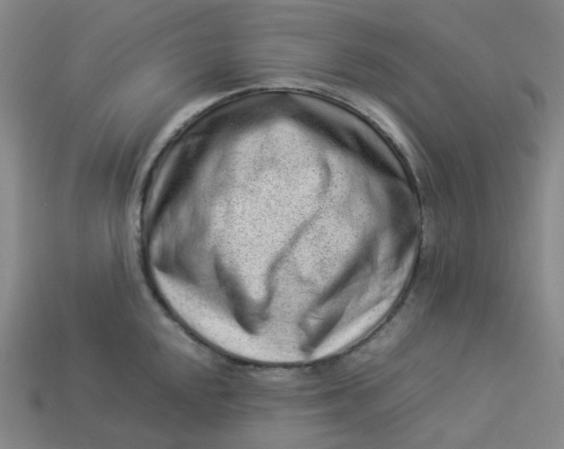X0000113331048200910051142