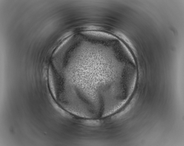 X0000113331049200910051142
