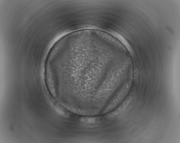 X0000113331051200910051142