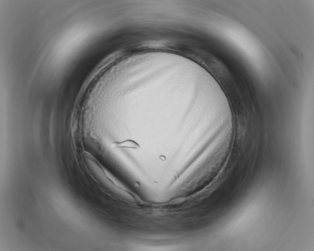 X0000113331052200910051142