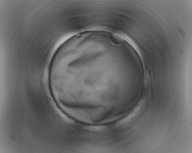 X0000113331053200910051142