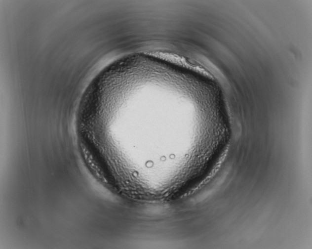 X0000113331055200910051142