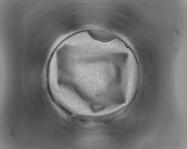 X0000113331056200910051142