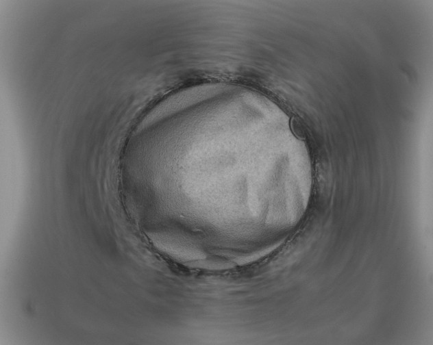 X0000113331057200910051141