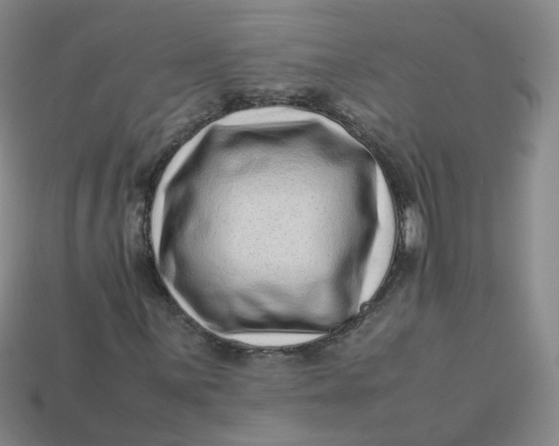 X0000113331059200910051141