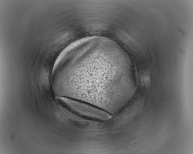 X0000113331060200910051141