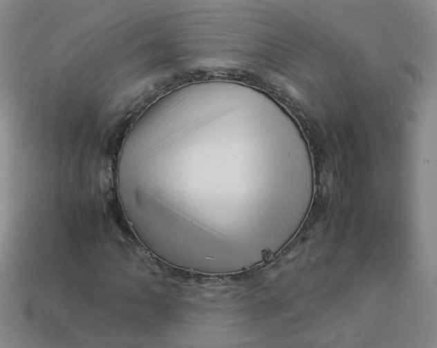 X0000113331062200910051141