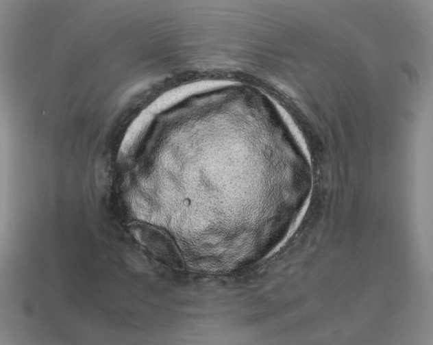 X0000113331063200910051141
