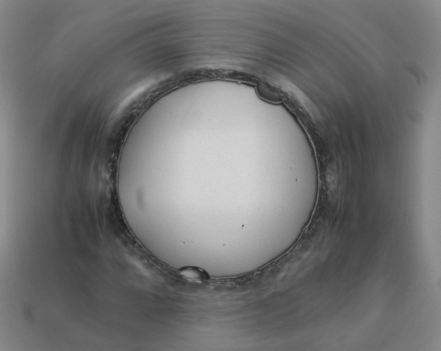 X0000113331064200910051141
