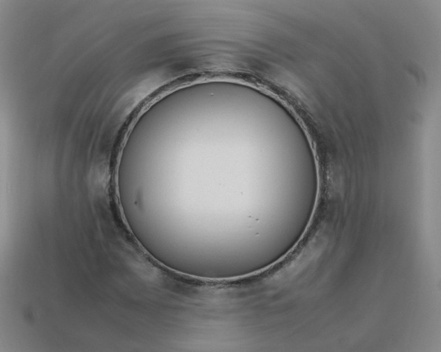 X0000113331065200910051141