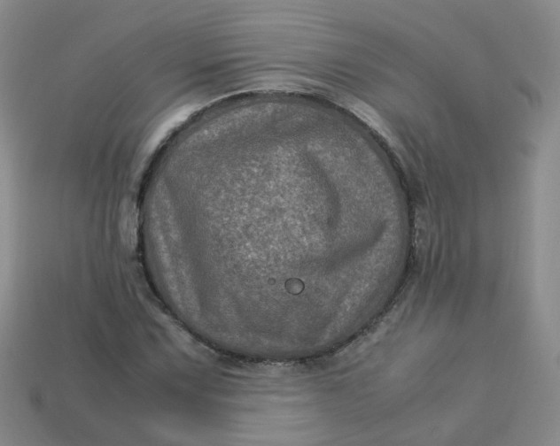 X0000113331067200910051141