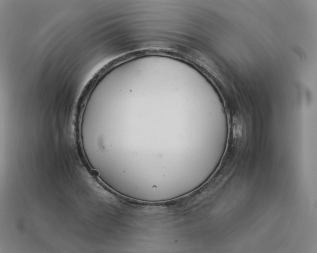 X0000113331068200910051141