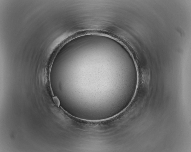 X0000113331069200910051141