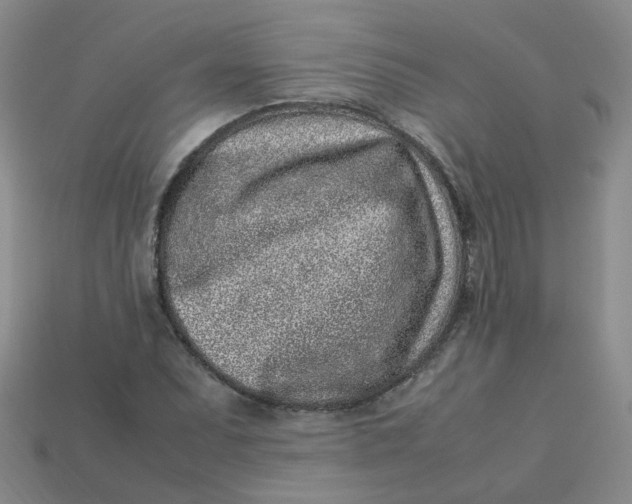 X0000113331071200910051141