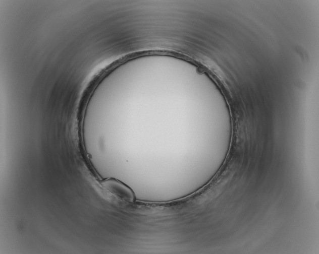 X0000113331072200910051141