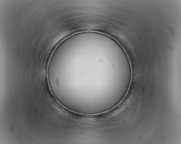 X0000113331073200910051141