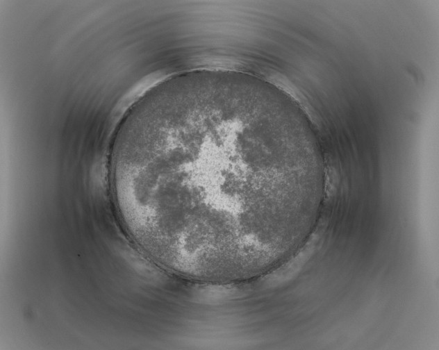 X0000113331074200910051141