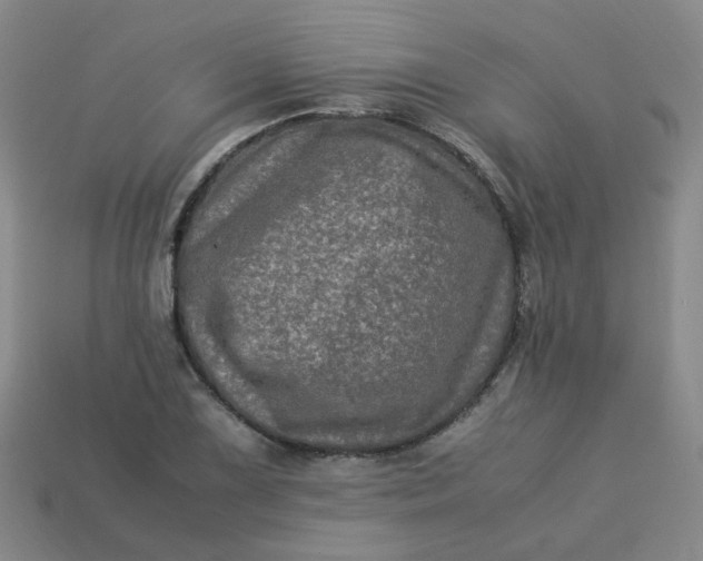 X0000113331075200910051141