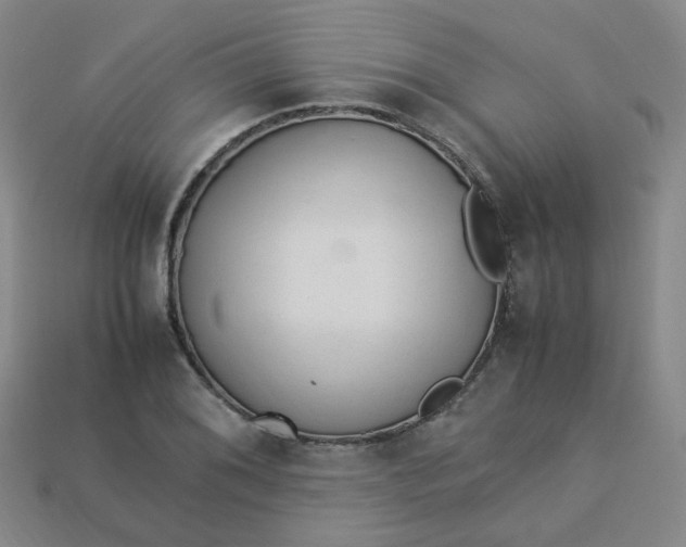X0000113331076200910051141