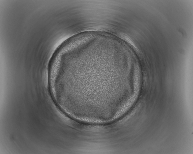 X0000113331079200910051141