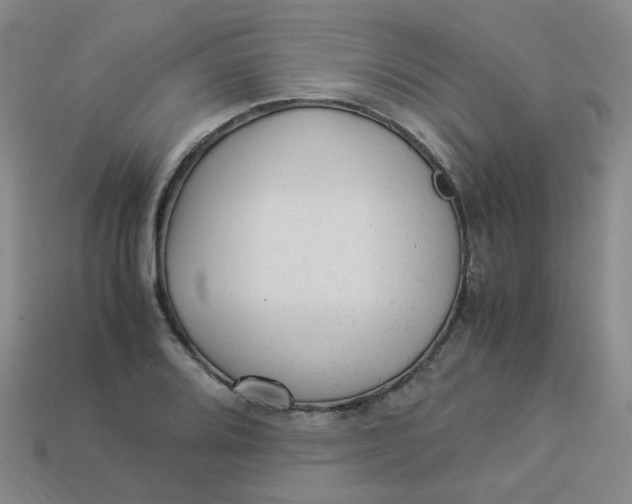 X0000113331080200910051141