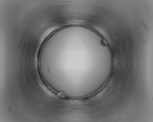 X0000113331082200910051141