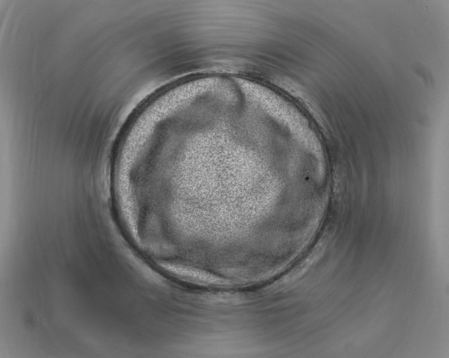 X0000113331083200910051141