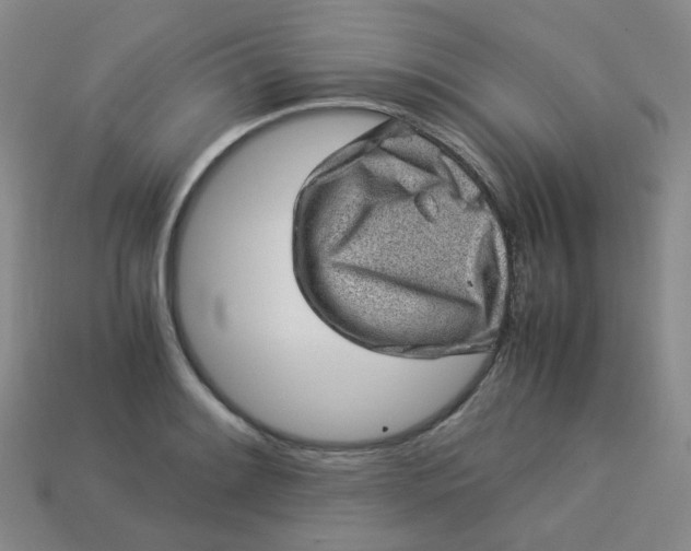 X0000113331084200910051141