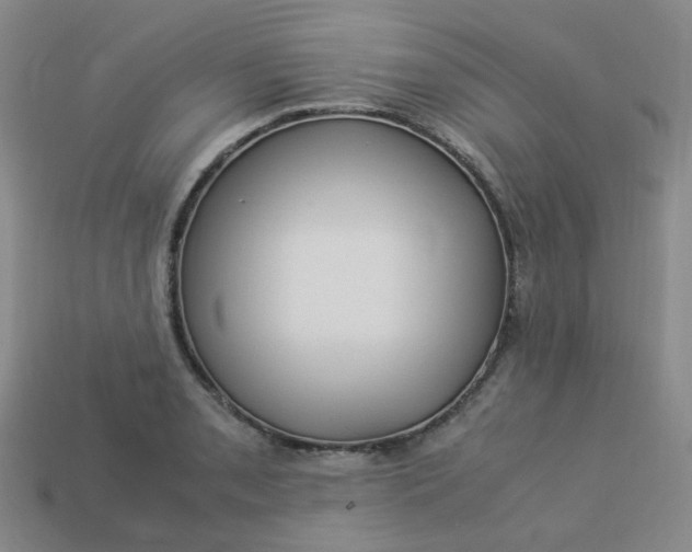 X0000113331085200910051141