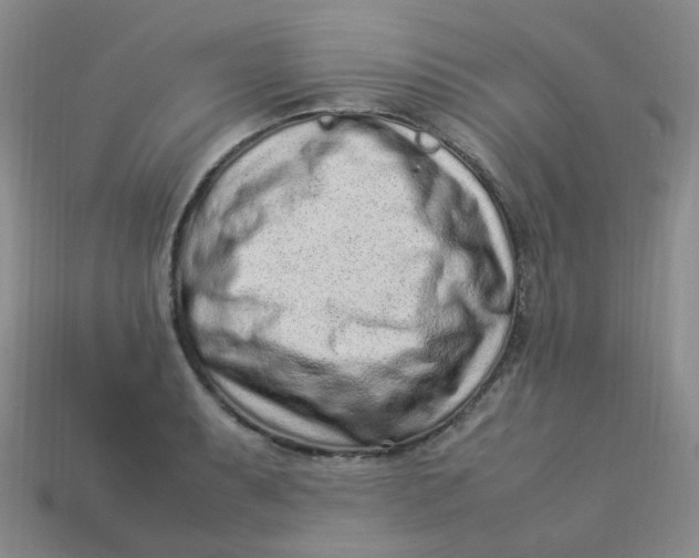 X0000113331087200910051141
